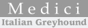 イタリアングレーハウンド（イタグレ・IG）ブリーダー Medici（メディチ）